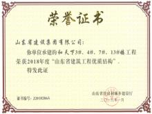 和天下3#、4#、7#、13#樓獲2018年度“山東省建筑工程優(yōu)質結構”