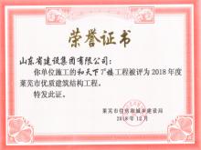 和天下7#樓獲2018年萊蕪市優(yōu)質建筑結構工程